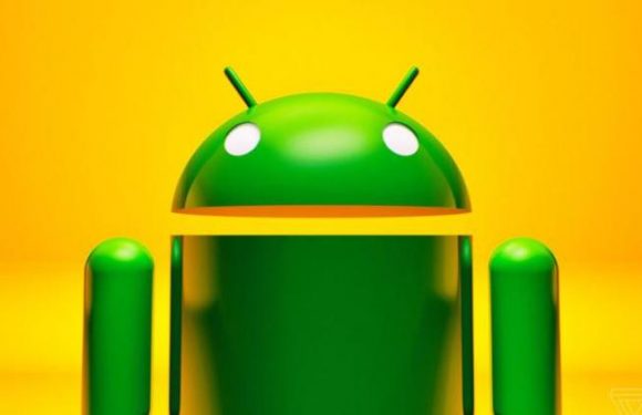 Android LinearLayout Alt Kenarlık Ekleme – Android LinearLayout Border Only Bottom